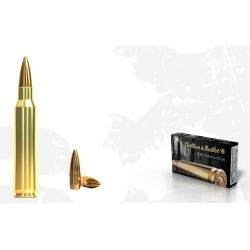 223 REM. FMJ 55 GRS