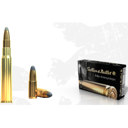 8 × 57 JRS SPCE 196 GRS