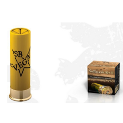 20/70 VEGA